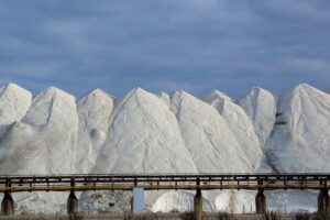 Margherita di Savoia